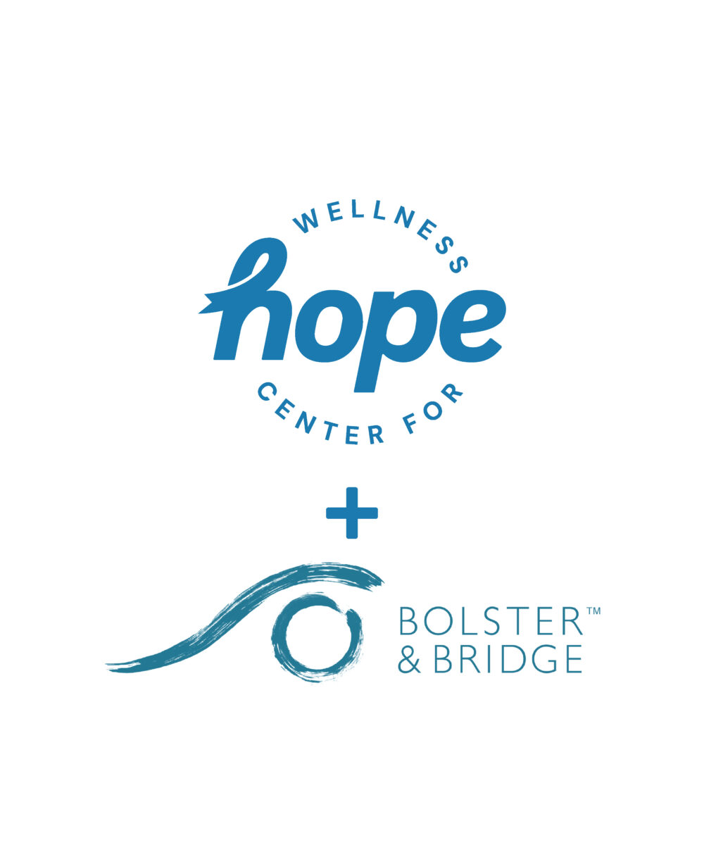 The Audio Companion by Bolster & Bridge